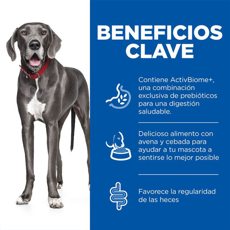 Hill’s SP Perfect Digestion Large pienso para perros de raza grande image number null